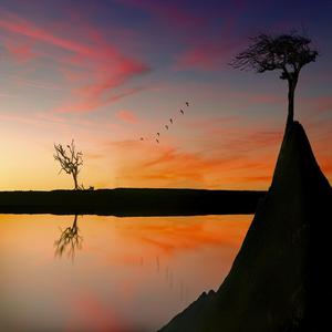 Lullaby For My Tender Soul