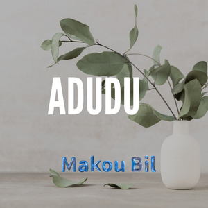 Adudu
