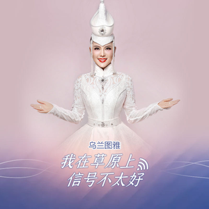 我在草原上信号不太好