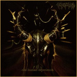 You Only See The Glass Half Full On A Wednesday