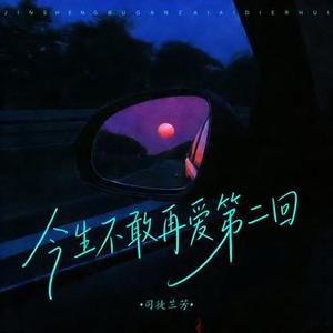 今生不敢再爱第二回 (dj阿尼版)