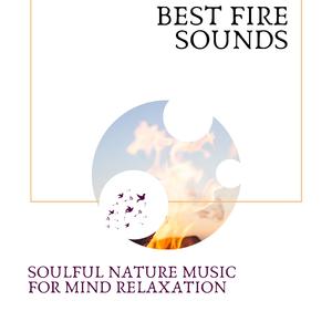 Campfire and Crickets Audio