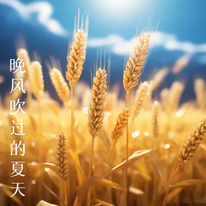 晚风吹过的夏天
