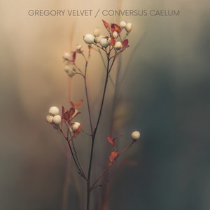 Conversus Caelum