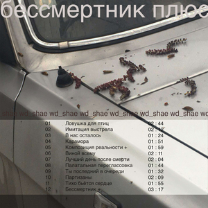 Виной всему