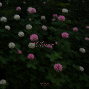 Clover