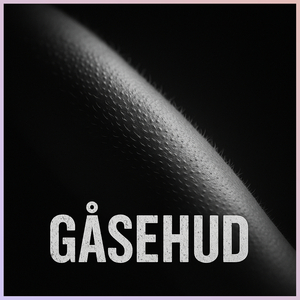 Gåsehud