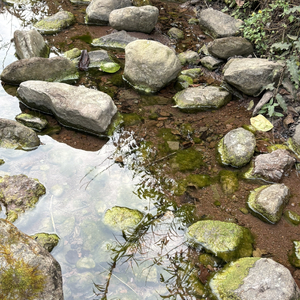 差三岁