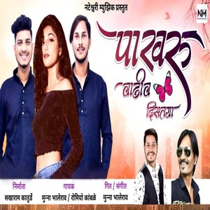 Pakhru Vadhiv Distaya