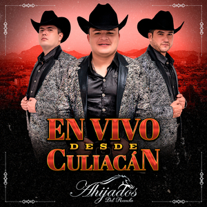 Necesito Una Compañera (En Vivo)