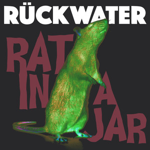 Rat in a Jar
