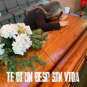 TE DI UN BESO SIN VIDA