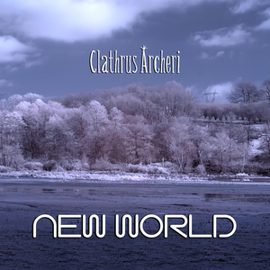 New World