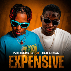 Expensive