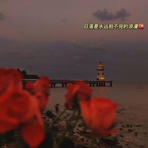 漂流（cover：张紫宁）