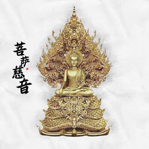 菩提光华（书法）