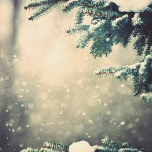 许嵩-山水之间民乐版（帝殇 remix）