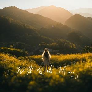 风是自由,所以不问尽头