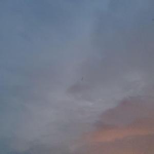 你就不要想起我（吉他demo）