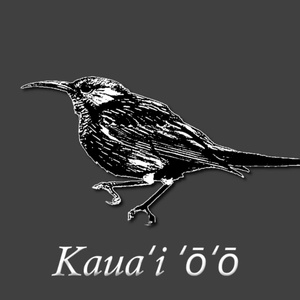 kauaʻi ʻōʻō