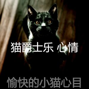 精彩小猫环境
