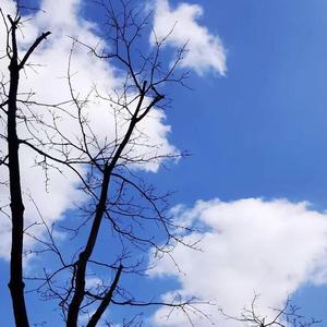 这一生关于你的风景