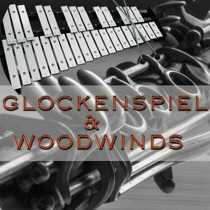 6 Bagatellen, Op. 126: No. 5 in G Major, Quasi allegretto (Arr. for Glockenspiel & Woodwinds)