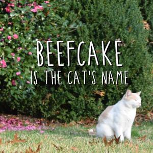 BEEFCAKE