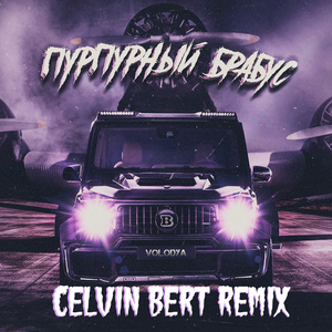 Пурпурный брабус (Celvin Bert Remix)