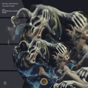 You Don't Know (Butterflies on Mars Remix)