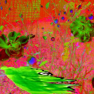 LIVE @ THE TOTE UPSTAIRS 05/09/24 (Live)