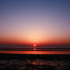 乐器合奏-白日依山尽（今麦郎 remix）