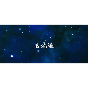 去流浪