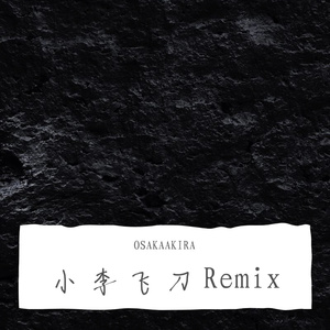 小李飞刀Remix