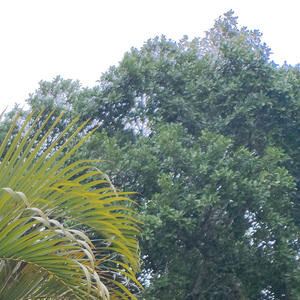 她留给你的是背景(害你哭红了眼睛)