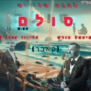 לאבא שלי יש סולם