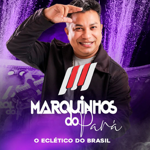 Girassol / Ai Que Saudade D'ocê / Estação Da Luz / Eu Só Quero Anastacia / Dominguinho Um Xodô