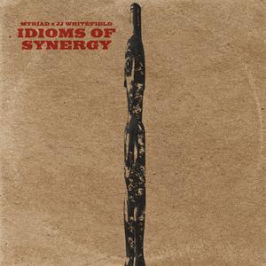 Idioms of Synergy