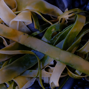Barðaströnd - Strokkur