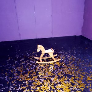 A Horse in My Bedroom