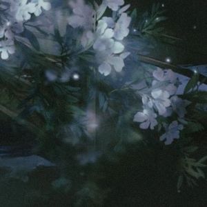 萧然寂雪 【BEAT】