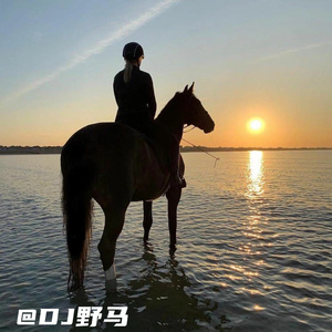 开场6秒就秒杀 (DJ版)