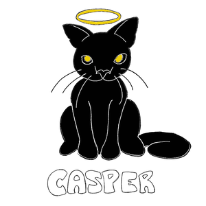 casper // acoustic version