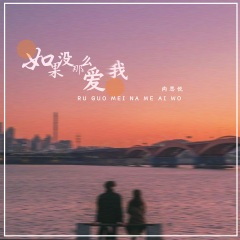 如果没那么爱我 (DJ可乐版)