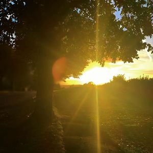 Khi sự tự hào(前奏一响 主角登场)