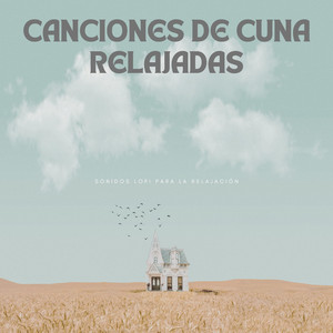 Melodías Calmas Y Relajadas