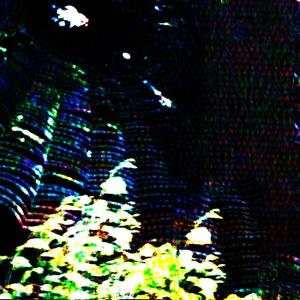 spiders (feat. unblithe)