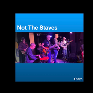 Not The Staves