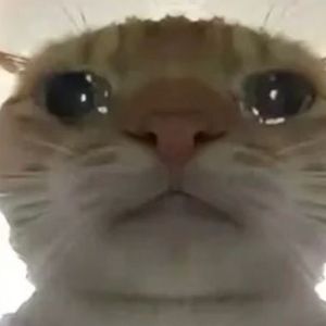 小蓝豆小曲 (畅享版)