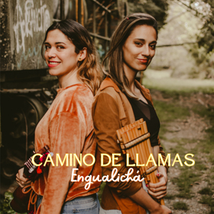 Camino de Llamas